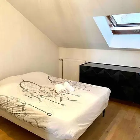 Apartment La Perle Du Thiou - T3 Au Centre D'annecy Avec Parking Prive *
